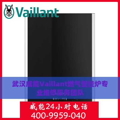 武汉威能Vaillant燃气壁挂炉专业维修服务团队