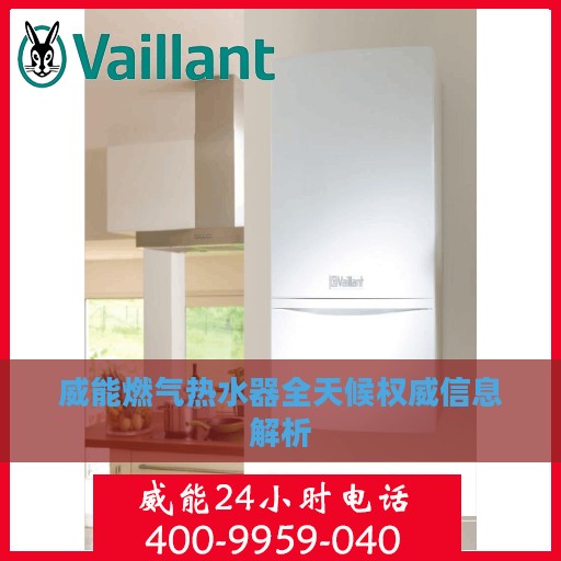 威能燃气热水器全天候权威信息解析