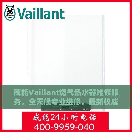 威能Vaillant燃气热水器维修服务，全天候专业维修，最新权威推荐指南