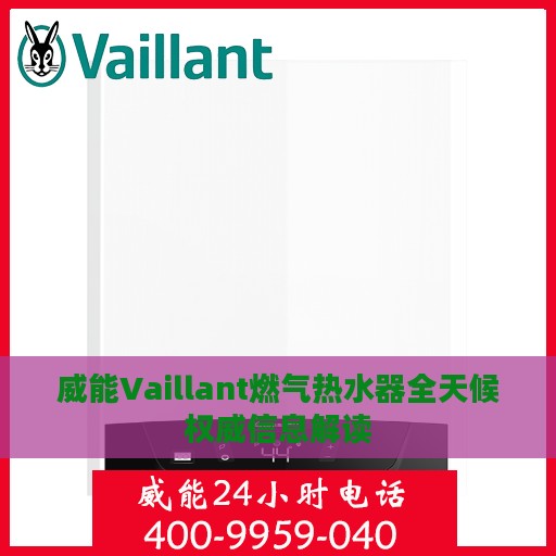 威能Vaillant燃气热水器全天候权威信息解读