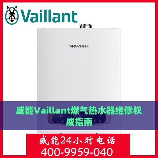 威能Vaillant燃气热水器维修权威指南