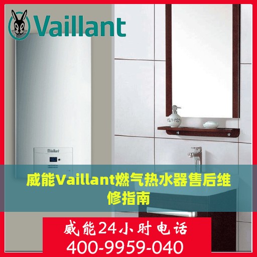 威能Vaillant燃气热水器售后维修指南