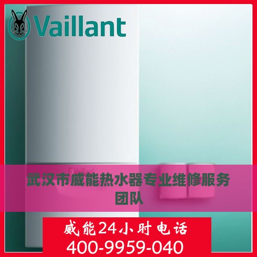武汉市威能热水器专业维修服务团队