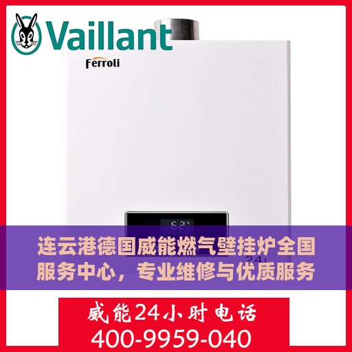 连云港德国威能燃气壁挂炉全国服务中心，专业维修与优质服务同步进行