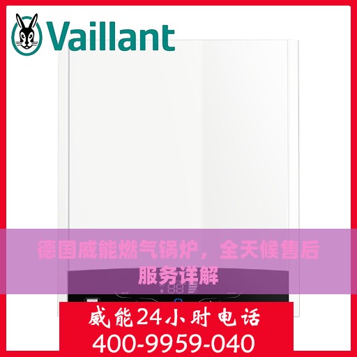 德国威能燃气锅炉，全天候售后服务详解