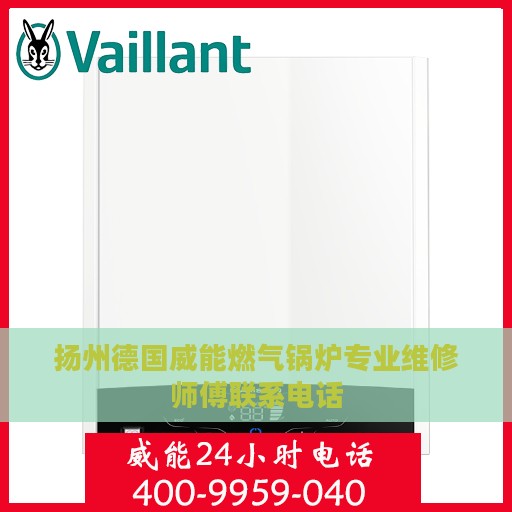 扬州德国威能燃气锅炉专业维修师傅联系电话