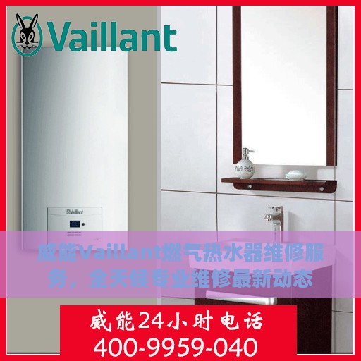威能Vaillant燃气热水器维修服务，全天候专业维修最新动态