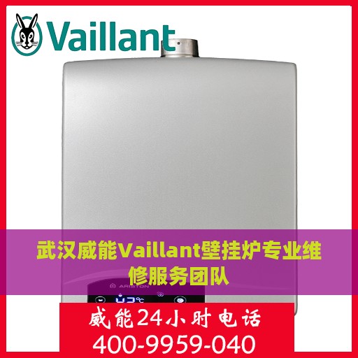 武汉威能Vaillant壁挂炉专业维修服务团队
