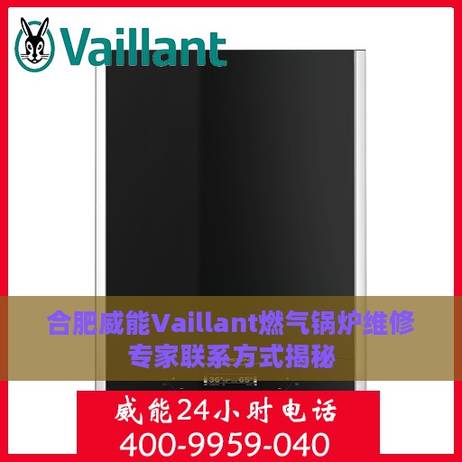 合肥威能Vaillant燃气锅炉维修专家联系方式揭秘