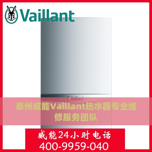 泰州威能Vaillant热水器专业维修服务团队