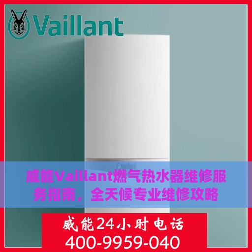 威能Vaillant燃气热水器维修服务指南，全天候专业维修攻略