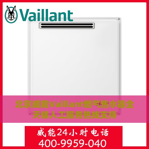 北京威能Vaillant燃气热水器全天候人工服务热线支持