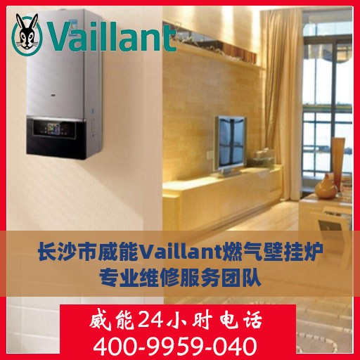 长沙市威能Vaillant燃气壁挂炉专业维修服务团队
