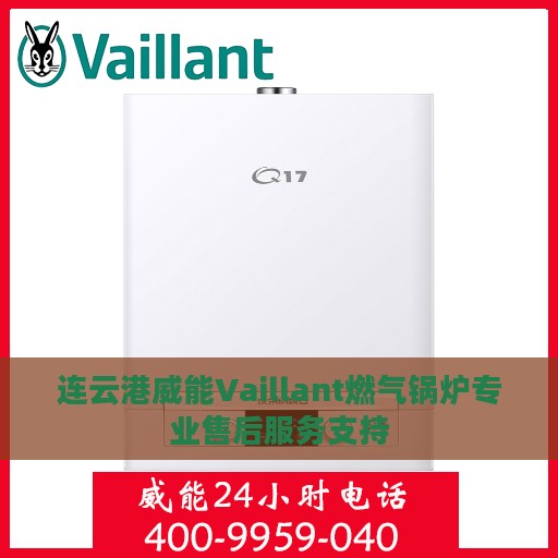 连云港威能Vaillant燃气锅炉专业售后服务支持