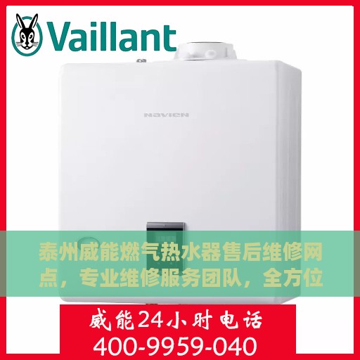 泰州威能燃气热水器售后维修网点，专业维修服务团队，全方位解决您的热水器问题！