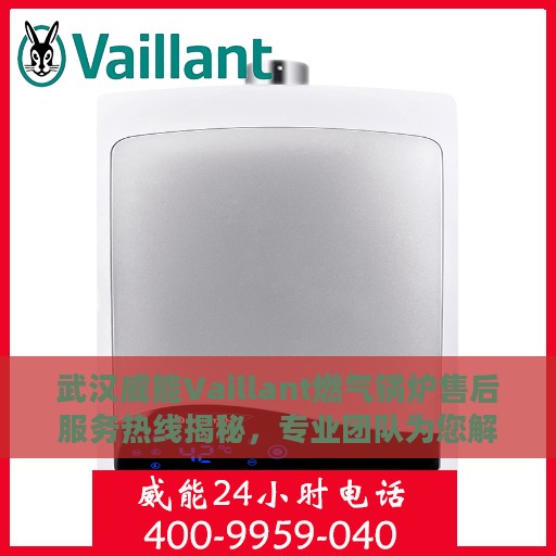 武汉威能Vaillant燃气锅炉售后服务热线揭秘，专业团队为您解答电话查询服务