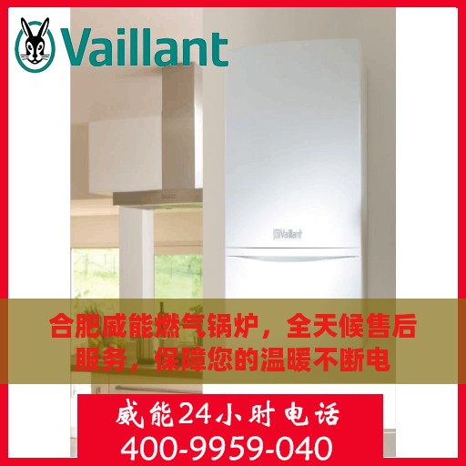 合肥威能燃气锅炉，全天候售后服务，保障您的温暖不断电