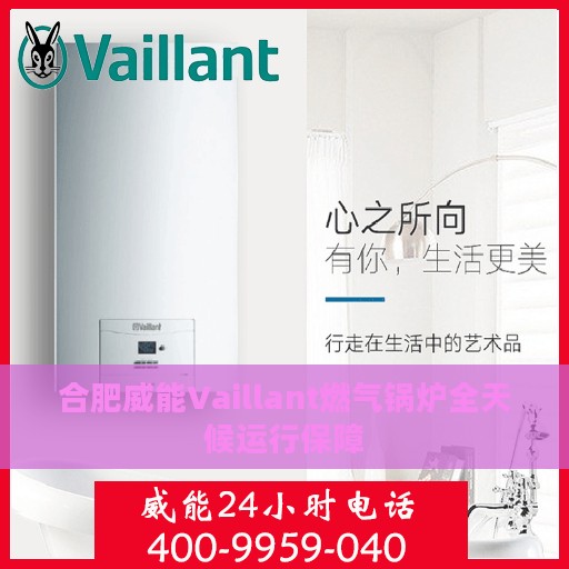 合肥威能Vaillant燃气锅炉全天候运行保障