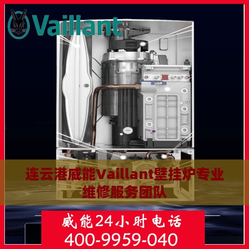 连云港威能Vaillant壁挂炉专业维修服务团队