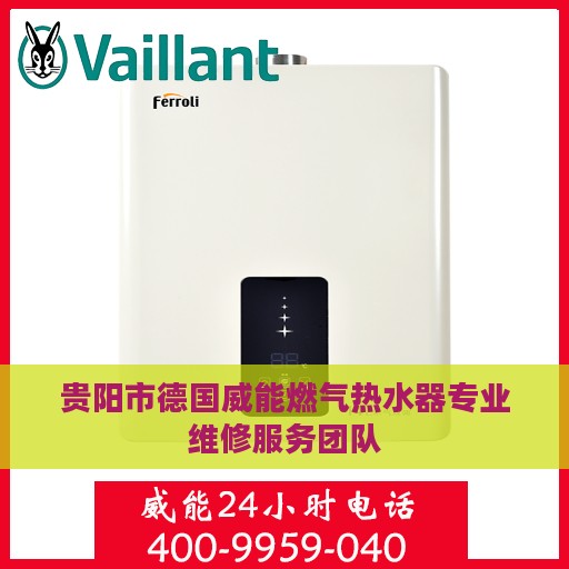 贵阳市德国威能燃气热水器专业维修服务团队