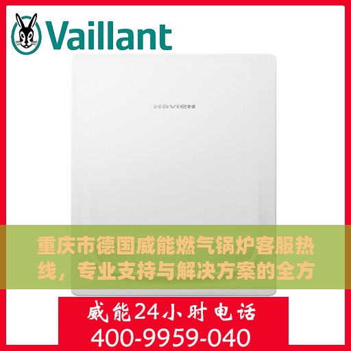 重庆市德国威能燃气锅炉客服热线，专业支持与解决方案的全方位连接