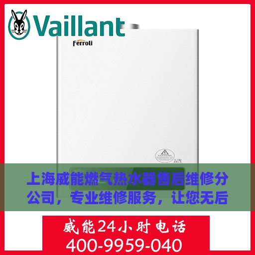 上海威能燃气热水器售后维修分公司，专业维修服务，让您无后顾之忧