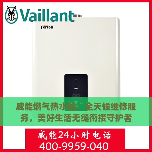 威能燃气热水器，全天候维修服务，美好生活无缝衔接守护者