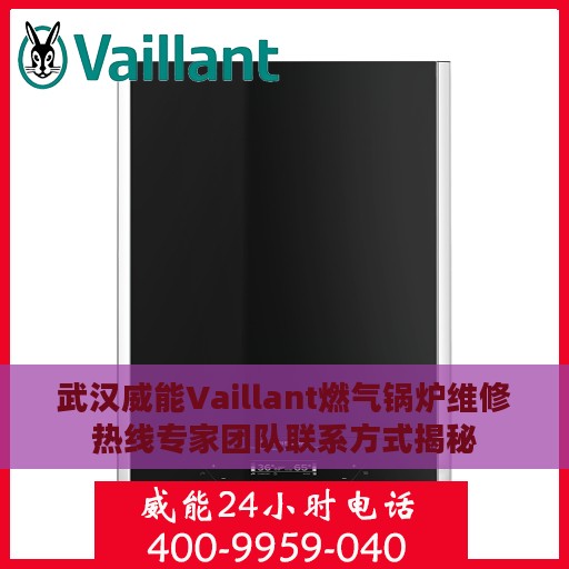 武汉威能Vaillant燃气锅炉维修热线专家团队联系方式揭秘