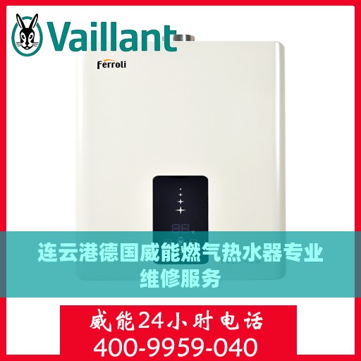 连云港德国威能燃气热水器专业维修服务