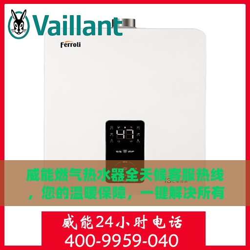 威能燃气热水器全天候客服热线，您的温暖保障，一键解决所有疑问