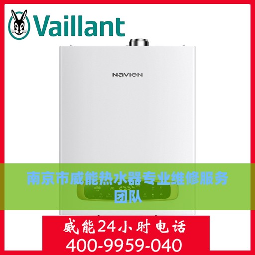 南京市威能热水器专业维修服务团队