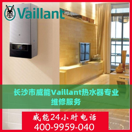 长沙市威能Vaillant热水器专业维修服务