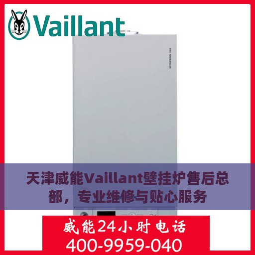 天津威能Vaillant壁挂炉售后总部，专业维修与贴心服务