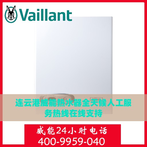 连云港威能热水器全天候人工服务热线在线支持