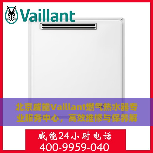 北京威能Vaillant燃气热水器专业服务中心，高效维修与保养解决方案