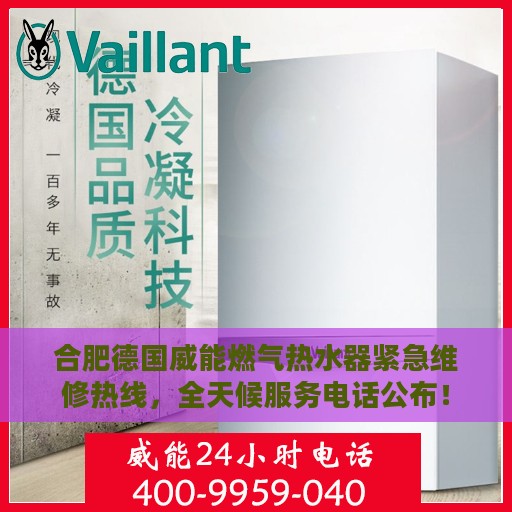 合肥德国威能燃气热水器紧急维修热线，全天候服务电话公布！