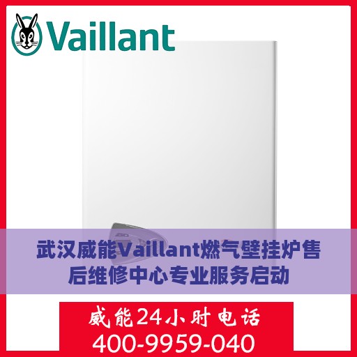 武汉威能Vaillant燃气壁挂炉售后维修中心专业服务启动