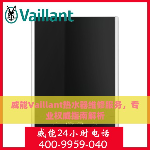 威能Vaillant热水器维修服务，专业权威指南解析