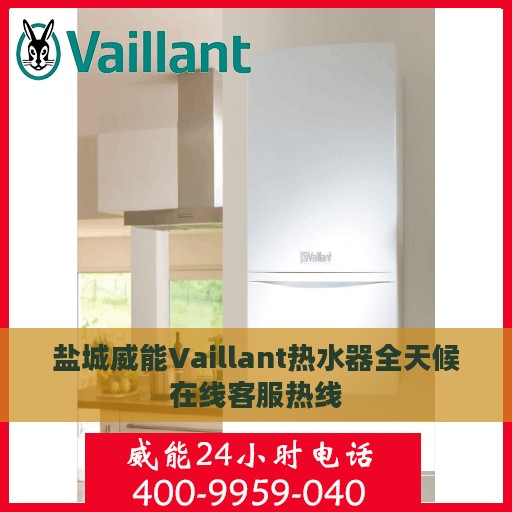 盐城威能Vaillant热水器全天候在线客服热线