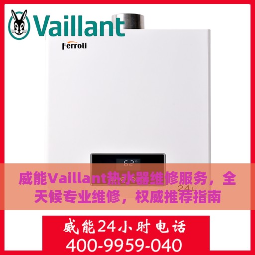 威能Vaillant热水器维修服务，全天候专业维修，权威推荐指南