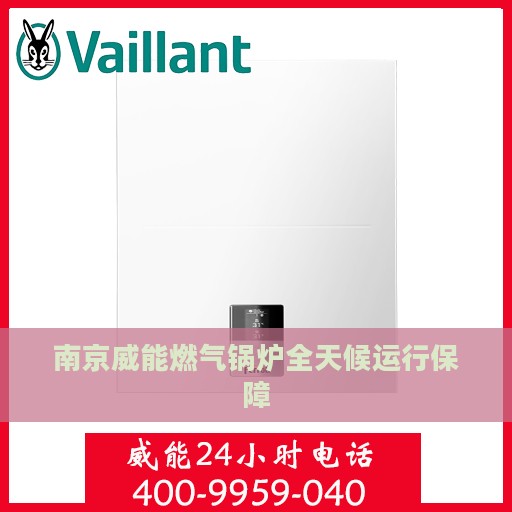 南京威能燃气锅炉全天候运行保障