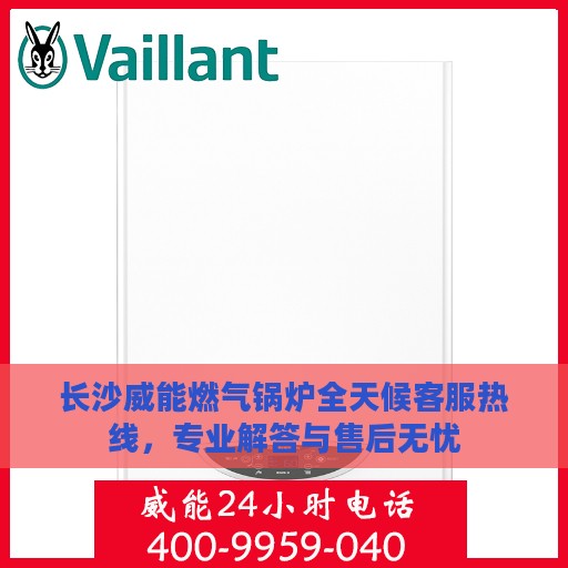长沙威能燃气锅炉全天候客服热线，专业解答与售后无忧