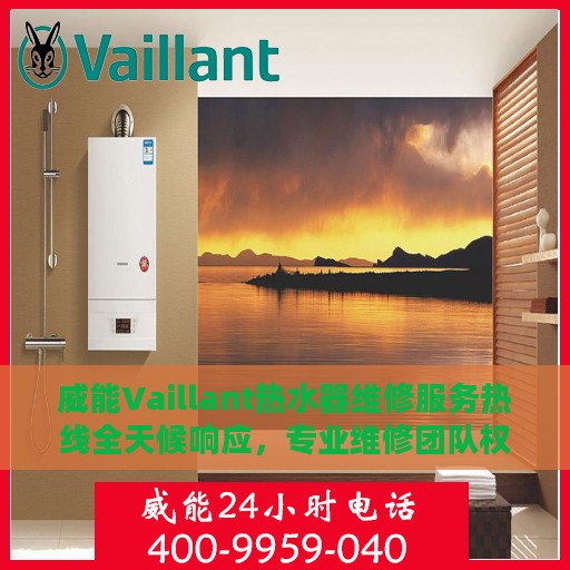 威能Vaillant热水器维修服务热线全天候响应，专业维修团队权威指南