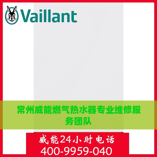常州威能燃气热水器专业维修服务团队