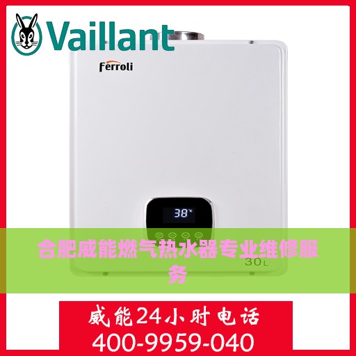 合肥威能燃气热水器专业维修服务