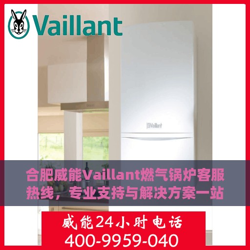 合肥威能Vaillant燃气锅炉客服热线，专业支持与解决方案一站式服务