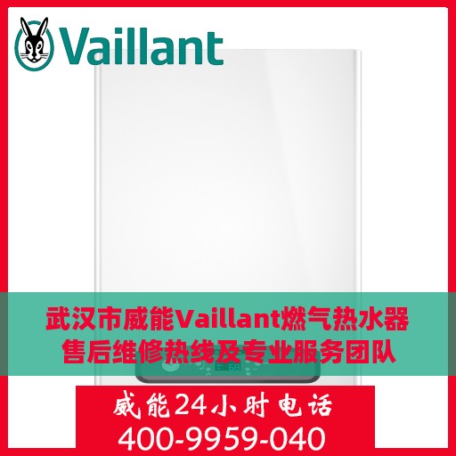 武汉市威能Vaillant燃气热水器售后维修热线及专业服务团队