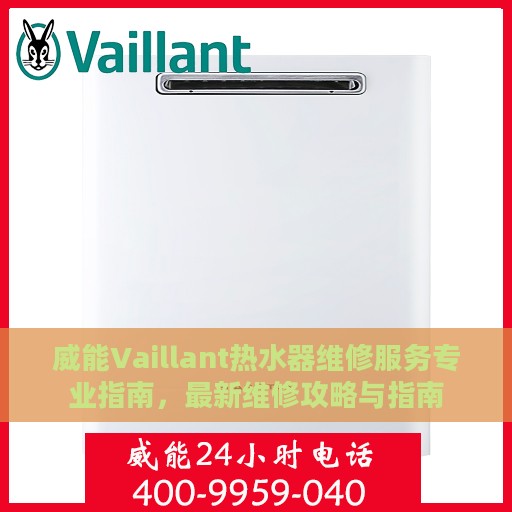 威能Vaillant热水器维修服务专业指南，最新维修攻略与指南