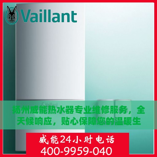 扬州威能热水器专业维修服务，全天候响应，贴心保障您的温暖生活