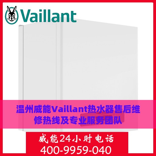 温州威能Vaillant热水器售后维修热线及专业服务团队